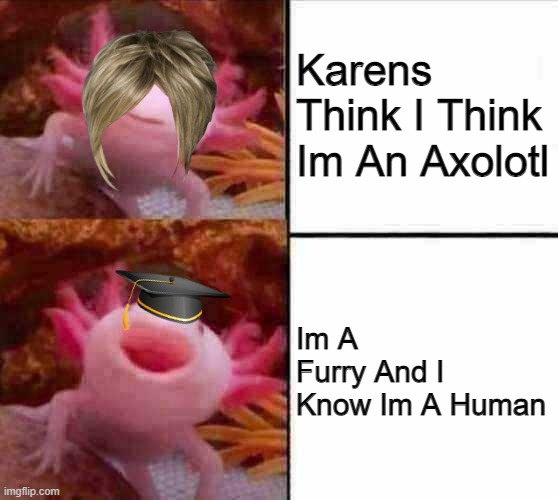 axolotl drake | Karens Think I Think Im An Axolotl; Im A Furry And I Know Im A Human | image tagged in axolotl drake | made w/ Imgflip meme maker