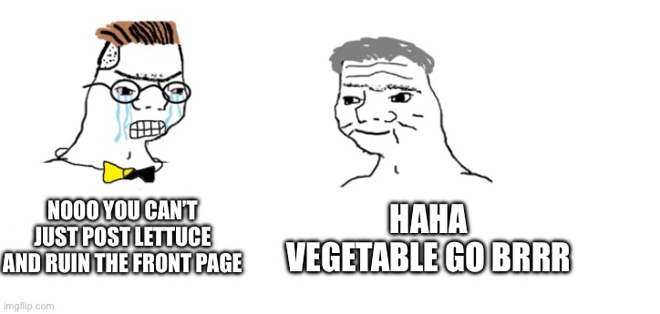 Upvote to ban pics of inanimate objects | NOOO YOU CAN’T JUST POST LETTUCE AND RUIN THE FRONT PAGE; HAHA VEGETABLE GO BRRR | image tagged in nooo haha go brrr,lettuce,upvote if you agree | made w/ Imgflip meme maker