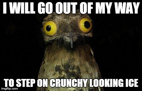 Weird Stuff I Do Potoo Meme | I WILL GO OUT OF MY WAY TO STEP ON CRUNCHY LOOKING ICE | image tagged in memes,weird stuff i do potoo,AdviceAnimals | made w/ Imgflip meme maker