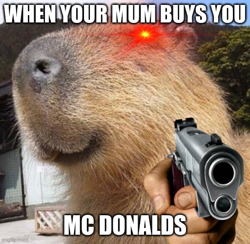 capybara | WHEN YOUR MUM BUYS YOU; MC DONALDS | image tagged in capybara,funny,fun,mcdonalds,lmao | made w/ Imgflip meme maker