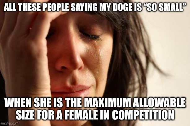 First World Problems | ALL THESE PEOPLE SAYING MY DOGE IS “SO SMALL”; WHEN SHE IS THE MAXIMUM ALLOWABLE SIZE FOR A FEMALE IN COMPETITION | image tagged in memes,first world problems,doge | made w/ Imgflip meme maker