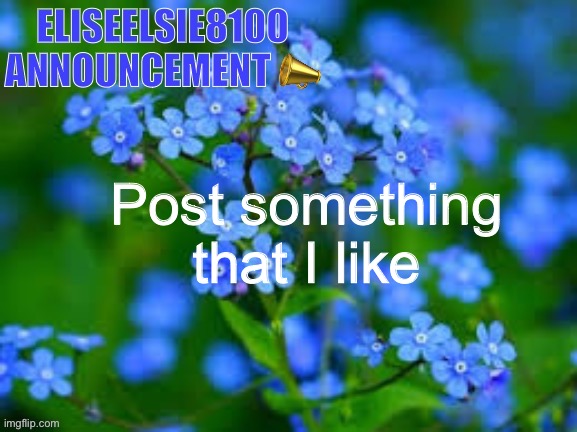 EliseElsie8100 Announcement | Post something that I like | image tagged in eliseelsie8100 announcement | made w/ Imgflip meme maker