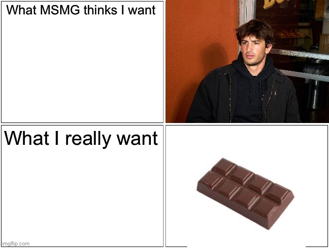 Blank Comic Panel 2x2 Meme | What MSMG thinks I want; What I really want | image tagged in memes,blank comic panel 2x2 | made w/ Imgflip meme maker