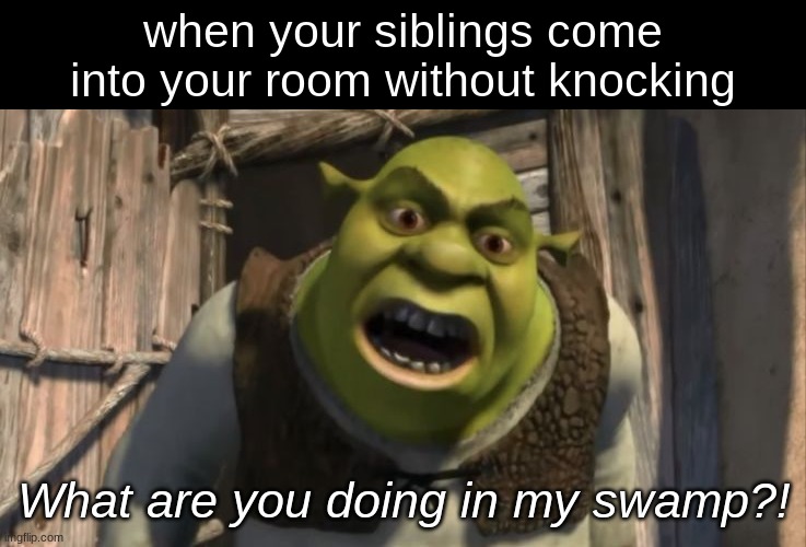 they trash the room | when your siblings come into your room without knocking; What are you doing in my swamp?! | image tagged in shrek what are you doing in my swamp | made w/ Imgflip meme maker
