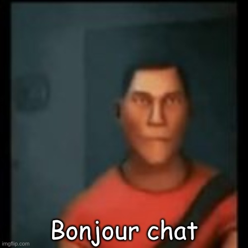 Bonjour chat | made w/ Imgflip meme maker