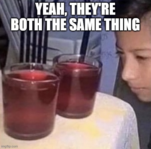 Same thing | YEAH, THEY'RE BOTH THE SAME THING | image tagged in same thing | made w/ Imgflip meme maker