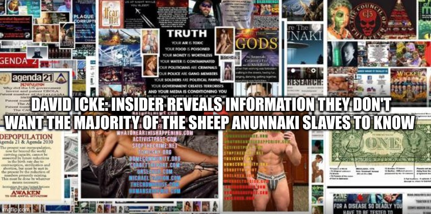 David Icke: Insider Reveals Information They Don't Want the Majority of the Sheep Anunnaki Slaves To Know  (Video) 