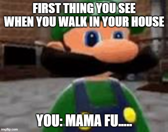 FIRST THING YOU SEE WHEN YOU WALK IN YOUR HOUSE; YOU: MAMA FU..... | made w/ Imgflip meme maker