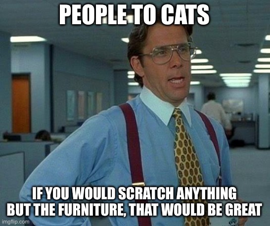 That Would Be Great Meme | PEOPLE TO CATS IF YOU WOULD SCRATCH ANYTHING BUT THE FURNITURE, THAT WOULD BE GREAT | image tagged in memes,that would be great | made w/ Imgflip meme maker