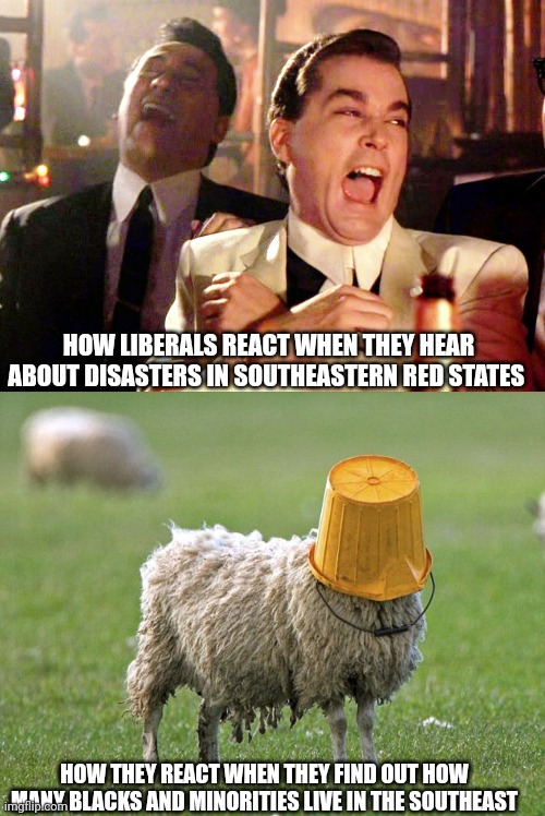 HOW LIBERALS REACT WHEN THEY HEAR ABOUT DISASTERS IN SOUTHEASTERN RED STATES; HOW THEY REACT WHEN THEY FIND OUT HOW MANY BLACKS AND MINORITIES LIVE IN THE SOUTHEAST | image tagged in memes,good fellas hilarious,stupid sheep | made w/ Imgflip meme maker