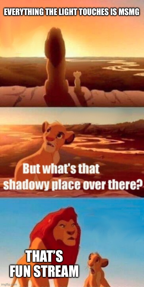 Simba Shadowy Place | EVERYTHING THE LIGHT TOUCHES IS MSMG; THAT’S FUN STREAM | image tagged in memes,simba shadowy place | made w/ Imgflip meme maker