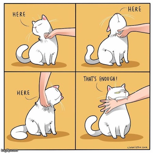 No | image tagged in cats,comics/cartoons | made w/ Imgflip meme maker