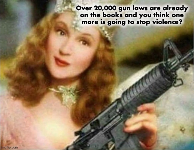 When you take guns away from good guys, the only ones with guns will be bad guys | Over 20,000 gun laws are already 
on the books and you think one 
more is going to stop violence? | image tagged in good witch | made w/ Imgflip meme maker