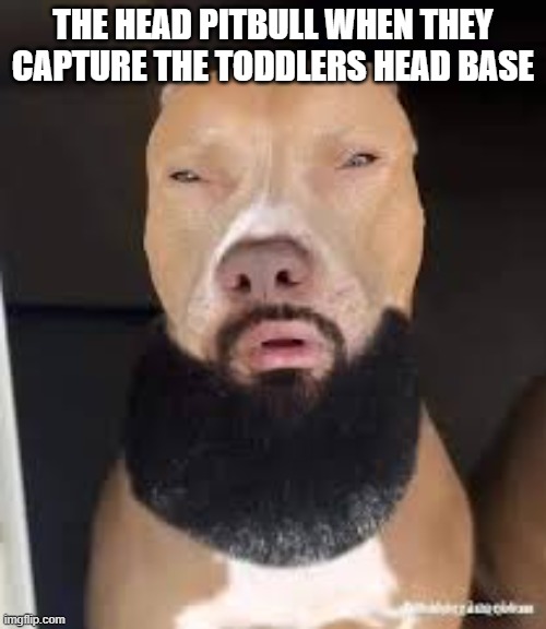 based on true events | THE HEAD PITBULL WHEN THEY CAPTURE THE TODDLERS HEAD BASE | image tagged in rizz,funny | made w/ Imgflip meme maker