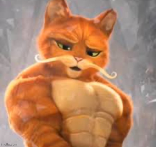 Buff Puss in Boots | image tagged in buff puss in boots | made w/ Imgflip meme maker