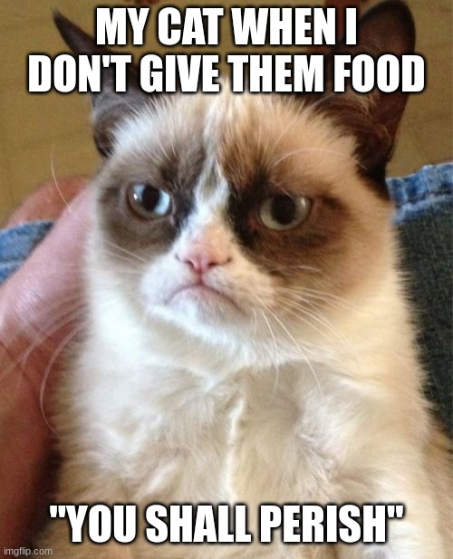 Grumpy Cat | MY CAT WHEN I DON'T GIVE THEM FOOD; "YOU SHALL PERISH" | image tagged in memes,grumpy cat | made w/ Imgflip meme maker