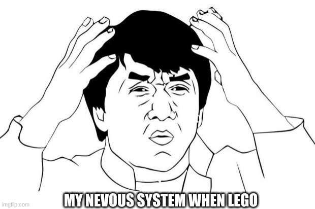 I eat lego | MY NEVOUS SYSTEM WHEN LEGO | image tagged in why u no | made w/ Imgflip meme maker