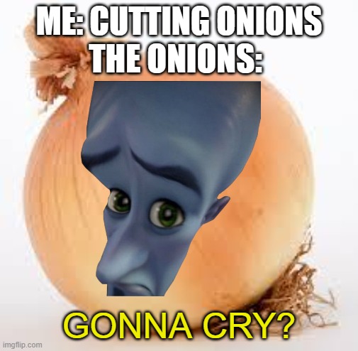 ...Yeah T-T | ME: CUTTING ONIONS; THE ONIONS:; GONNA CRY? | image tagged in onion,crying | made w/ Imgflip meme maker