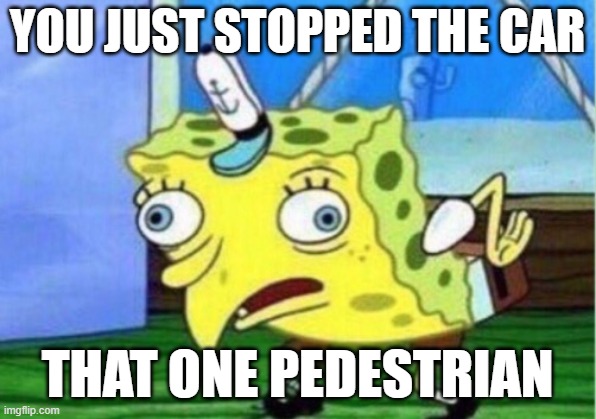 14% chance this will happen | YOU JUST STOPPED THE CAR; THAT ONE PEDESTRIAN | image tagged in memes,mocking spongebob | made w/ Imgflip meme maker