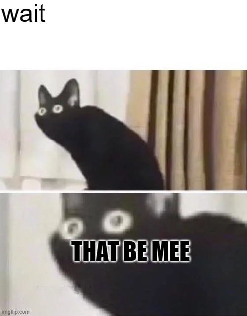 Oh No Black Cat | wait THAT BE MEE | image tagged in oh no black cat | made w/ Imgflip meme maker