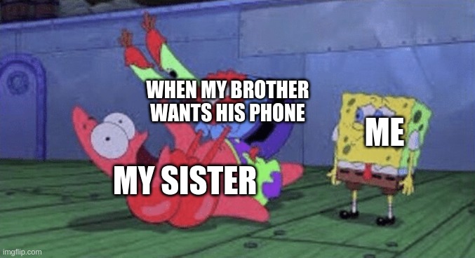 Mr. Krabs Choking Patrick | WHEN MY BROTHER WANTS HIS PHONE; ME; MY SISTER | image tagged in mr krabs choking patrick | made w/ Imgflip meme maker