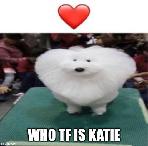 WHO TF IS KATIE | made w/ Imgflip meme maker