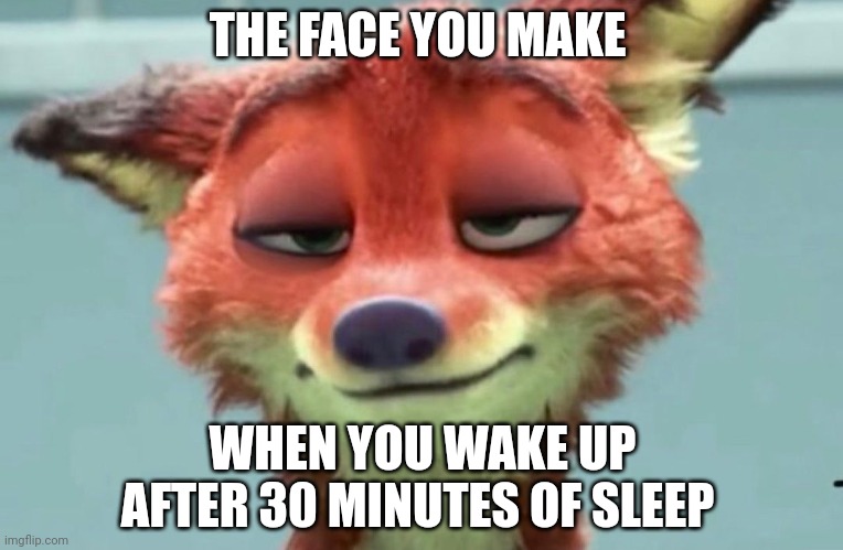 Groggy Fox | THE FACE YOU MAKE; WHEN YOU WAKE UP AFTER 30 MINUTES OF SLEEP | image tagged in nick wilde tired,zootopia,nick wilde,the face you make when,funny,memes | made w/ Imgflip meme maker