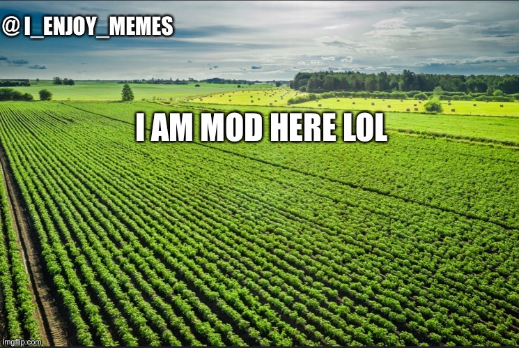 I_enjoy_memes_template | I AM MOD HERE LOL | image tagged in i_enjoy_memes_template,i like men | made w/ Imgflip meme maker