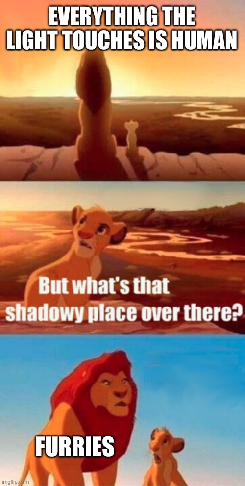 Simba Shadowy Place Meme | EVERYTHING THE LIGHT TOUCHES IS HUMAN; FURRIES | image tagged in memes,simba shadowy place | made w/ Imgflip meme maker