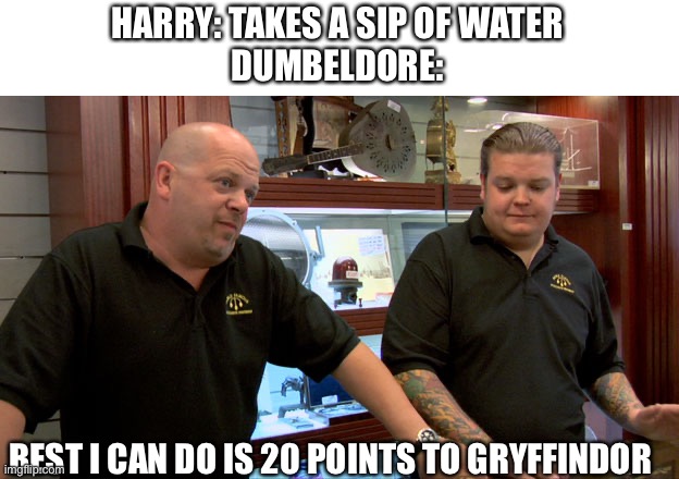 Pawn Stars Best I Can Do | HARRY: TAKES A SIP OF WATER
DUMBELDORE:; BEST I CAN DO IS 20 POINTS TO GRYFFINDOR | image tagged in pawn stars best i can do,memes,funny,harry potter | made w/ Imgflip meme maker