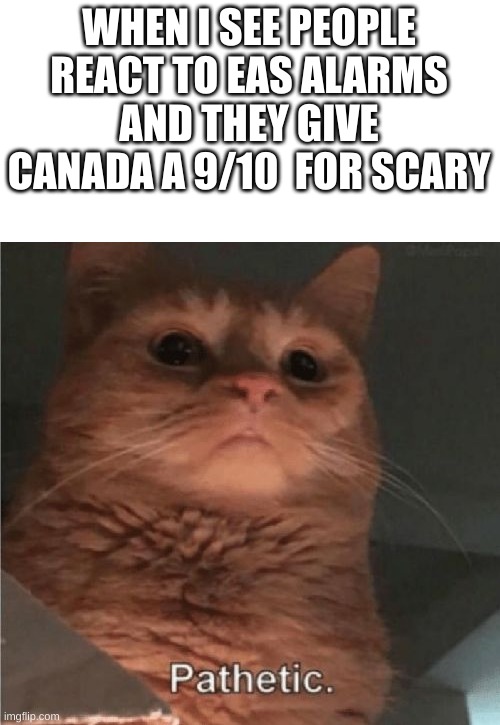 Pathetic Cat | WHEN I SEE PEOPLE REACT TO EAS ALARMS AND THEY GIVE CANADA A 9/10  FOR SCARY | image tagged in pathetic cat | made w/ Imgflip meme maker