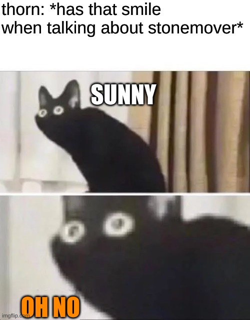 lol | thorn: *has that smile when talking about stonemover*; SUNNY; OH NO | image tagged in oh no black cat | made w/ Imgflip meme maker