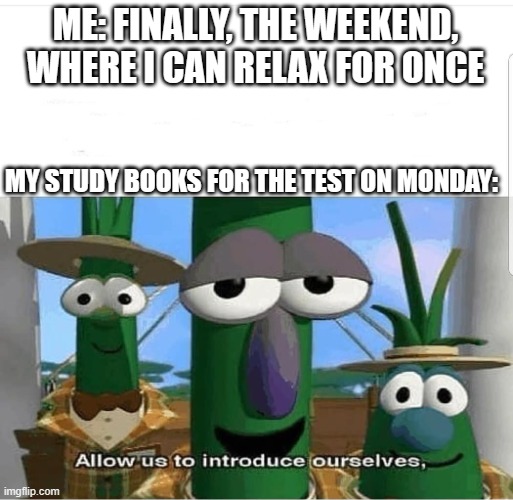 X_X | ME: FINALLY, THE WEEKEND, WHERE I CAN RELAX FOR ONCE; MY STUDY BOOKS FOR THE TEST ON MONDAY: | image tagged in allow us to introduce ourselves | made w/ Imgflip meme maker