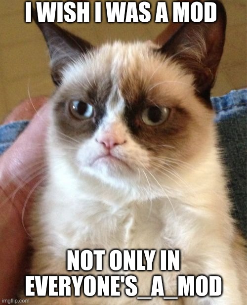 why am I not allowed mod literly anywhere else? | I WISH I WAS A MOD; NOT ONLY IN EVERYONE'S_A_MOD | image tagged in memes,grumpy cat | made w/ Imgflip meme maker