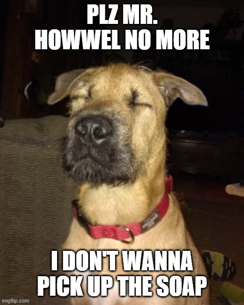 Please No More Dog | PLZ MR. HOWWEL NO MORE; I DON'T WANNA PICK UP THE SOAP | image tagged in please no more dog | made w/ Imgflip meme maker