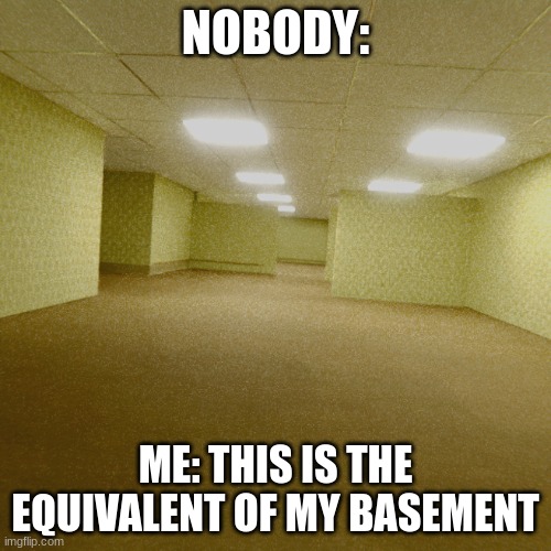 backrooms | NOBODY:; ME: THIS IS THE EQUIVALENT OF MY BASEMENT | image tagged in backrooms | made w/ Imgflip meme maker