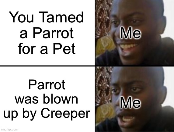 True Sad Story…:( | You Tamed a Parrot for a Pet; Me; Parrot was blown up by Creeper; Me | image tagged in oh yeah oh no | made w/ Imgflip meme maker