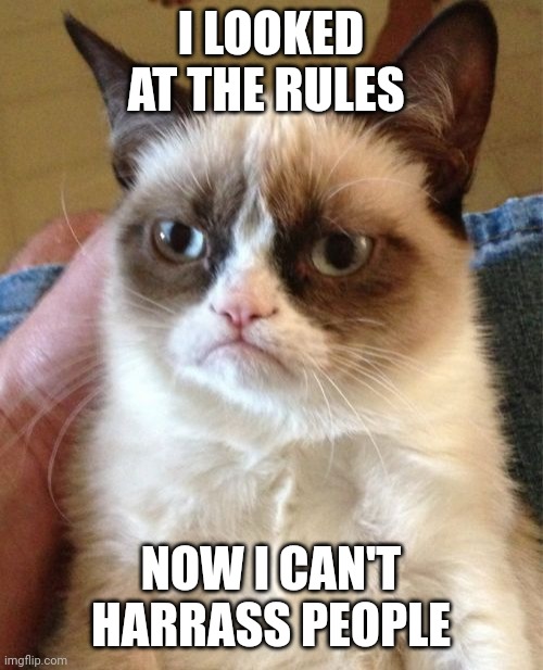 msmg users when they see the no harrasment rule (obviously I mean no harm with this meme) | I LOOKED AT THE RULES; NOW I CAN'T HARRASS PEOPLE | image tagged in memes,grumpy cat | made w/ Imgflip meme maker