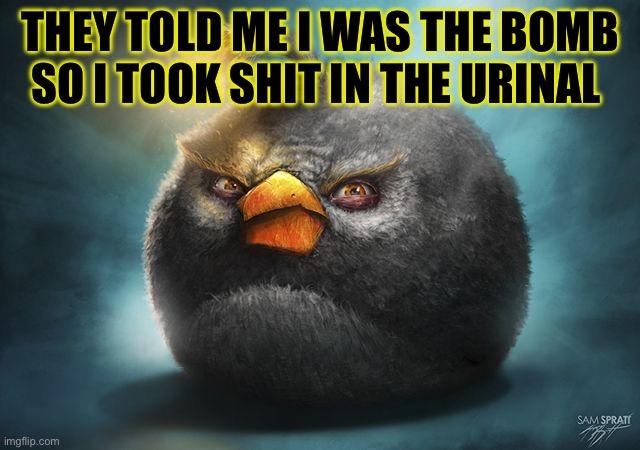 I’m built diff | THEY TOLD ME I WAS THE BOMB SO I TOOK SHIT IN THE URINAL | image tagged in angry birds bomb | made w/ Imgflip meme maker