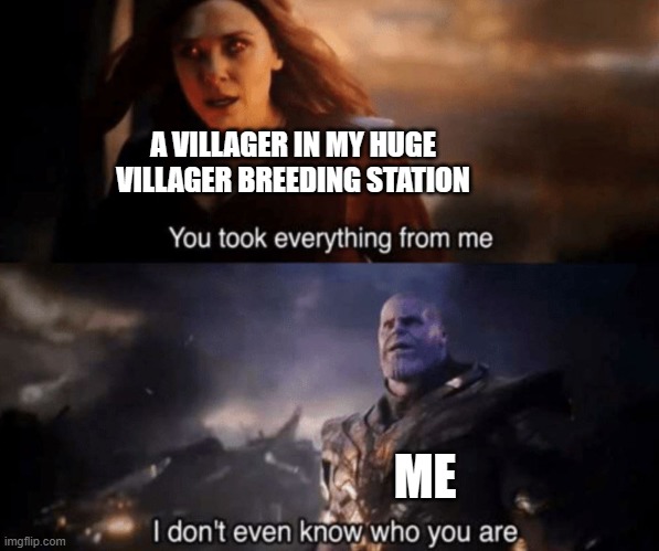 :P | A VILLAGER IN MY HUGE VILLAGER BREEDING STATION; ME | image tagged in you took everything from me - i don't even know who you are | made w/ Imgflip meme maker