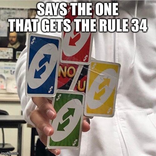 No u | SAYS THE ONE THAT GETS THE RULE 34 | image tagged in no u | made w/ Imgflip meme maker