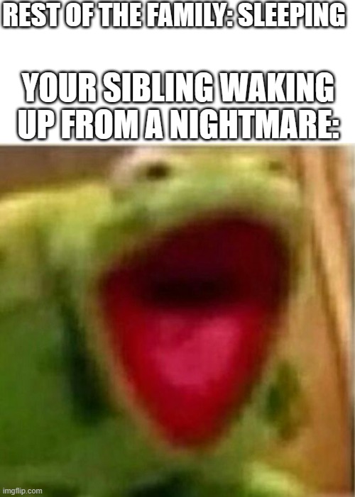 C'mon, this has got to be accurate for some ppl out there... | REST OF THE FAMILY: SLEEPING; YOUR SIBLING WAKING UP FROM A NIGHTMARE: | image tagged in blank white template,ahhhhhhhhhhhhh | made w/ Imgflip meme maker