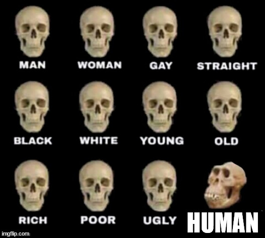 idiot skull | HUMAN | image tagged in idiot skull | made w/ Imgflip meme maker