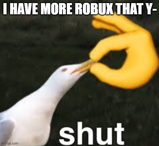 Shut Bird | I HAVE MORE ROBUX THAT Y- | image tagged in shut bird | made w/ Imgflip meme maker