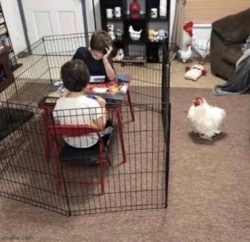 Child slavery fr | made w/ Imgflip meme maker