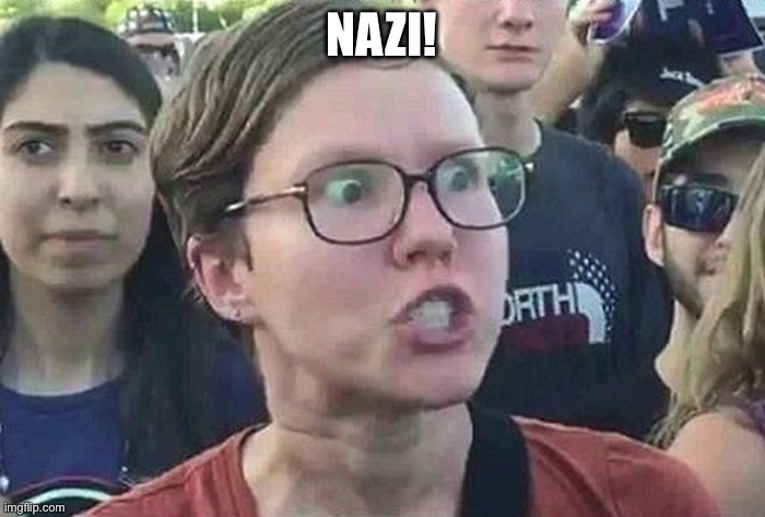 Triggered Liberal | NAZI! | image tagged in triggered liberal | made w/ Imgflip meme maker