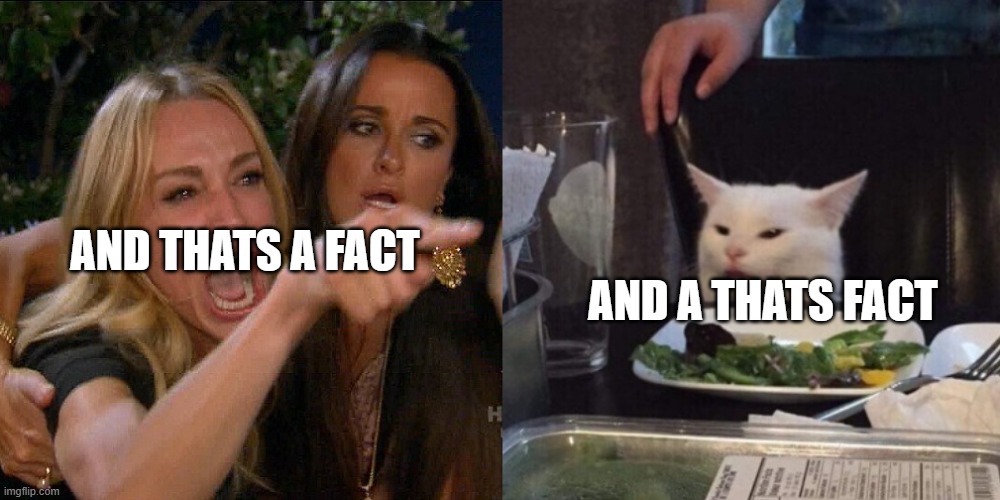 Woman yelling at cat | AND THATS A FACT AND A THATS FACT | image tagged in woman yelling at cat | made w/ Imgflip meme maker