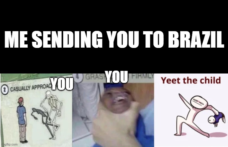 have a nice day there! | ME SENDING YOU TO BRAZIL; YOU; YOU | image tagged in casually approach child grasp child firmly yeet the child | made w/ Imgflip meme maker