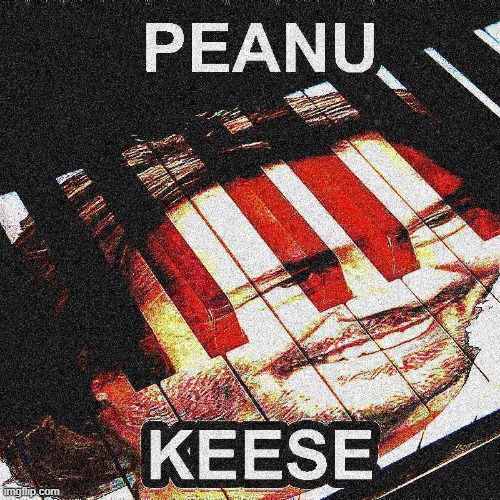 peanu keese | image tagged in peanu keese | made w/ Imgflip meme maker