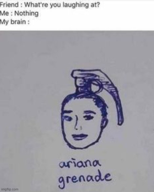 Ariana grenade | image tagged in ariana grenade | made w/ Imgflip meme maker